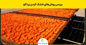 روشهای خشک کردن زردآلو