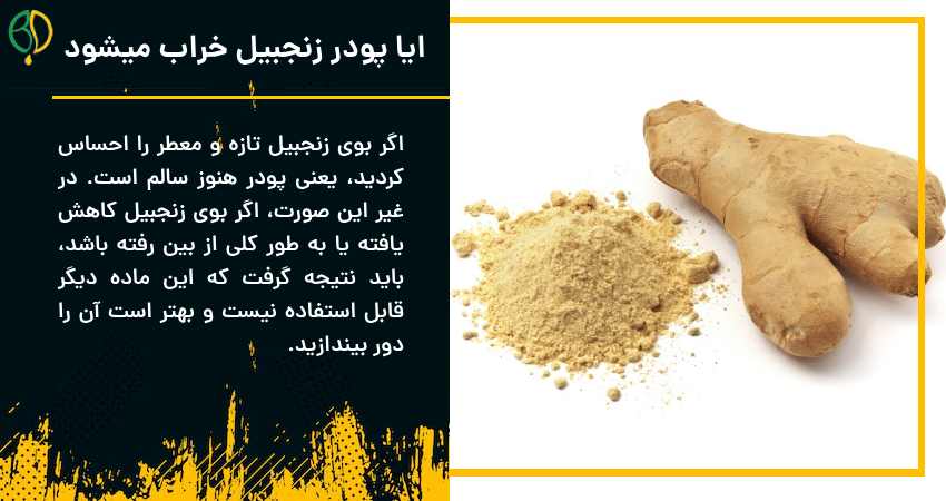 ایا پودر زنجبیل خراب میشود