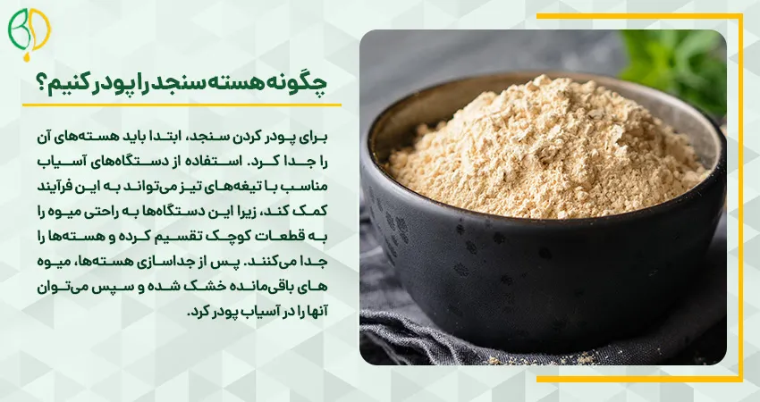چگونه هسته سنجد را پودر کنیم؟ 