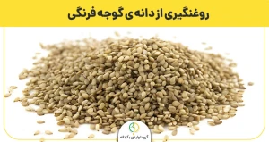  روغنگیری از دانه‌ ی گوجه فرنگی