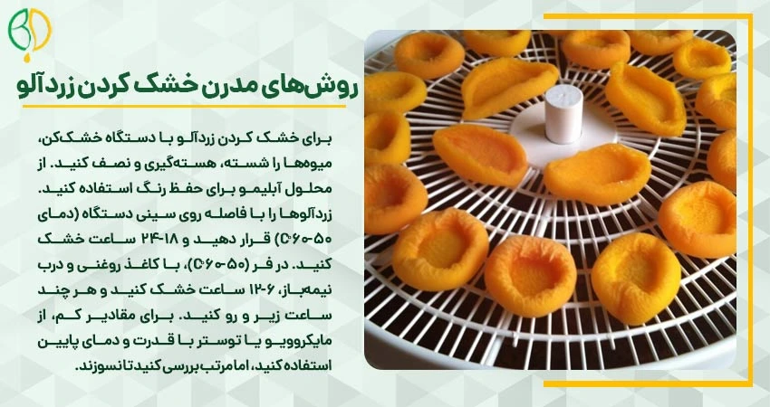 خشک کردن زردآلو: راهنمای جامع تهیه قیسی خانگی و صنعتی 3 خشک کردن زردآلو با دستگاه