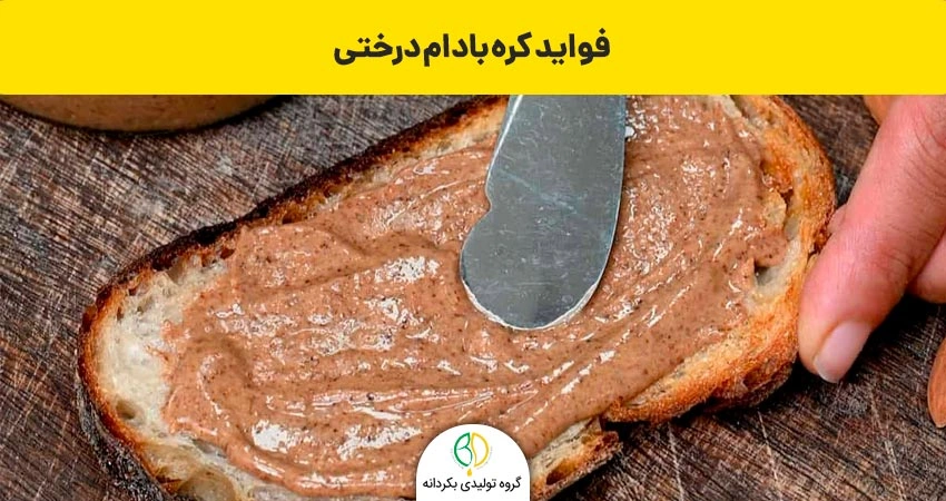 طرز تهیه کره بادام درختی 2 فواید کره بادام درختی