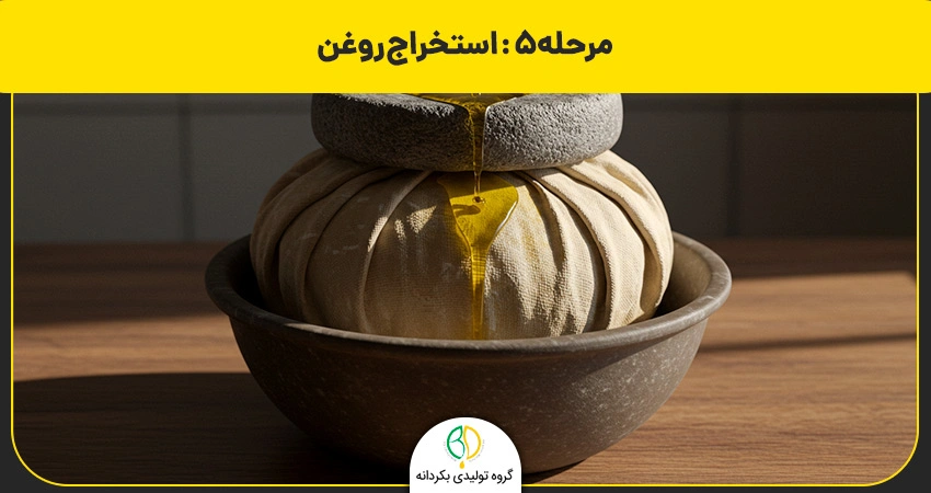 روغن بنه چیست و چه مزایای دارد؟ طرز تهیه گرفتن روغن بنه 12 استخراج روغن بنه