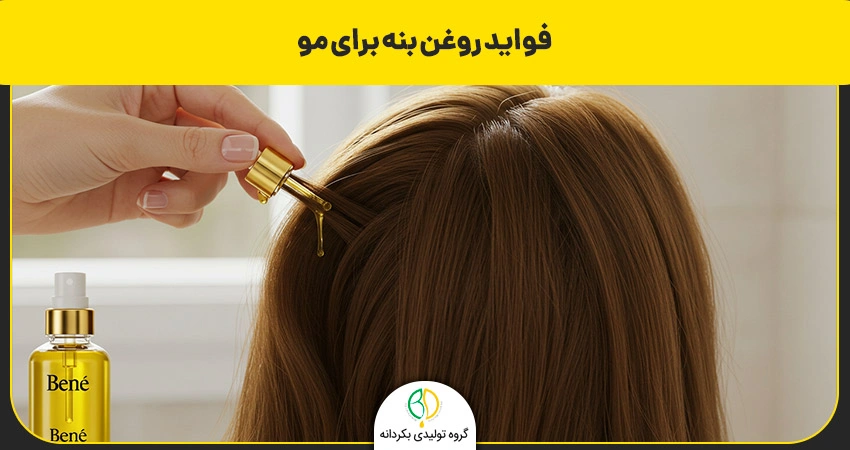 روغن بنه چیست و چه مزایای دارد؟ طرز تهیه گرفتن روغن بنه 4 فواید روغن بنه برای مو