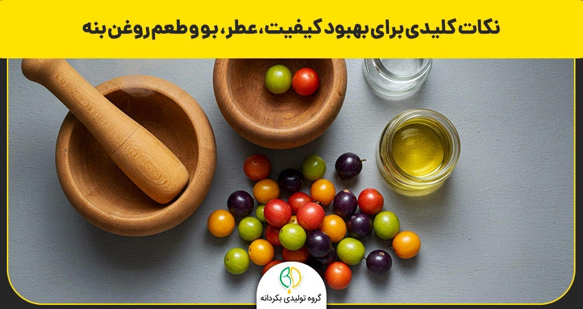 روغن بنه چیست و چه مزایای دارد؟ طرز تهیه گرفتن روغن بنه 6 نکات کلیدی برای بهبود کیفیت، عطر، بو و طعم روغن بنه