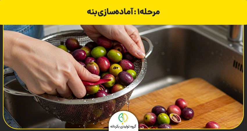 روغن بنه چیست و چه مزایای دارد؟ طرز تهیه گرفتن روغن بنه 8 تهیه روغن بنه در خانه