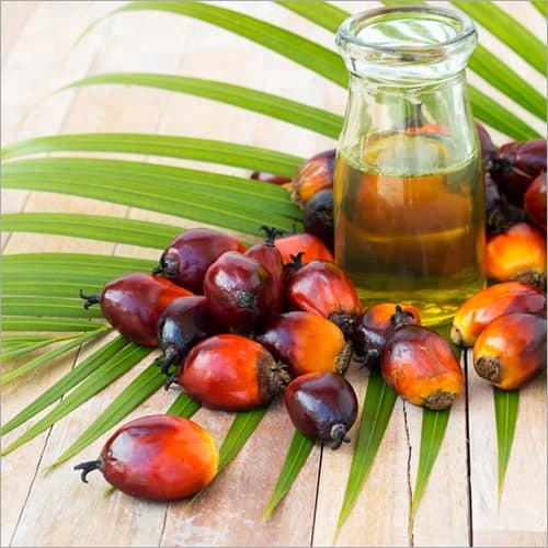 روش تشخیص روغن پالم و عوارض مصرف پالم 2 چرا استفاده از روغن پالم می تواند خطرناک باشد؟