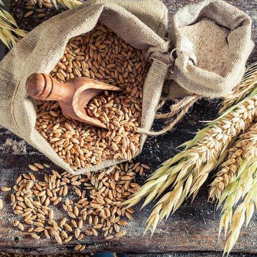 دستگاه آسیاب گندم صنعتی 2 قیمت دستگاه آسیاب گندم صنعتی