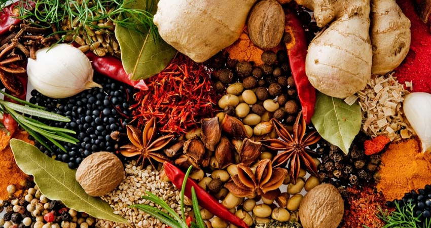 راهنمای خرید بهترین دستگاه آسیاب صنعتی و نیمه صنعتی 2 از کجا بفهمیم بهترین آسیاب صنعتی و نیمه صنعتی کدام است؟