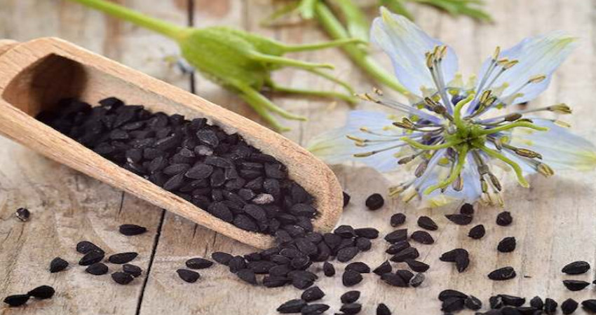 مصرف سیاه دانه برای تخمک گذاری 2 مصرف سیاه دانه برای تخمک گذاری