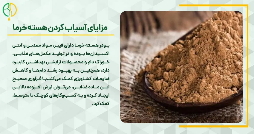 آسیاب هسته خرما 4 مزایای آسیاب کردن هسته خرما