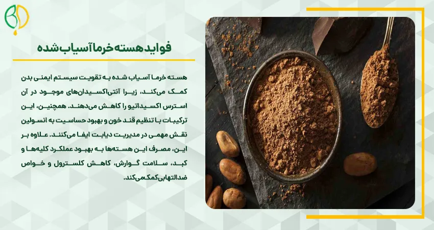آسیاب هسته خرما 6 فواید هسته خرما آسیاب شده