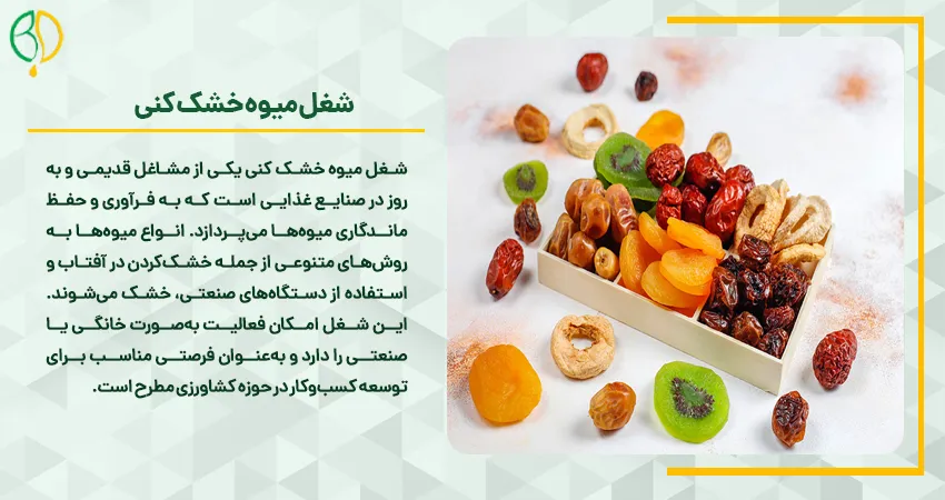 درآمد میوه خشک کنی 5 شغل میوه خشک کنی