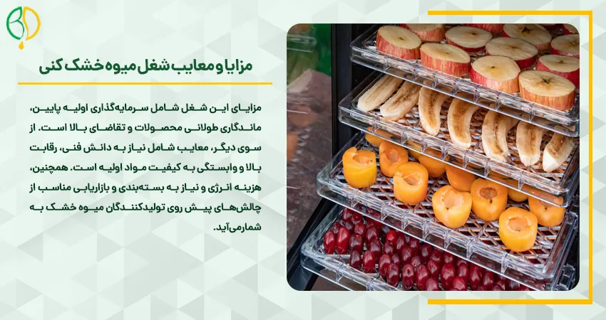 درآمد میوه خشک کنی 7 مزایا و معایب شغل میوه خشک کنی