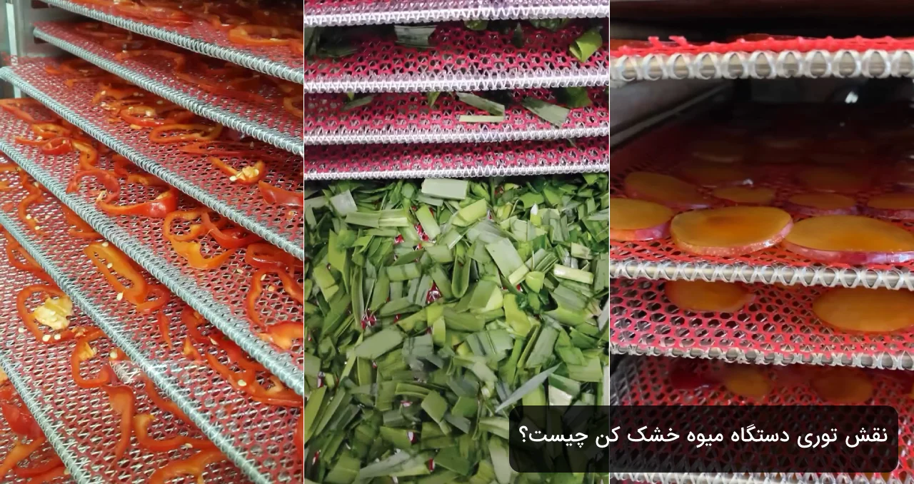 توری دستگاه میوه خشک کن 2 نقش توری دستگاه میوه خشک کن چیست؟