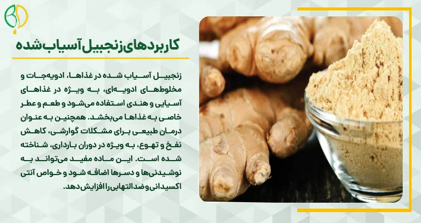 آسیاب زنجبیل 9 کاربردهای زنجبیل آسیاب شده