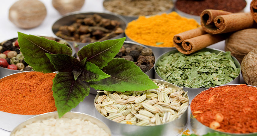 دستگاه آسیاب چکشی چگونه کار می کند؟ 3 آموزش کار با دستگاه آسیاب ادویه چکشی