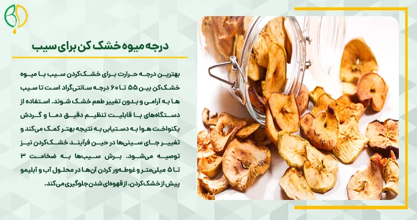 درجه میوه خشک کن برای سیب