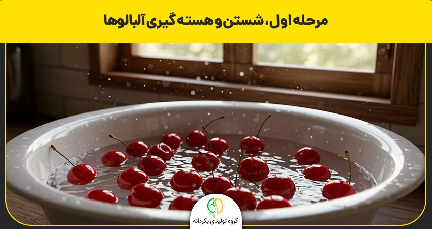 طرز تهیه آلبالو خشک با دستگاه میوه خشک کن صنعتی 2 مراحل خشک کردن آلبالو با دستگاه
