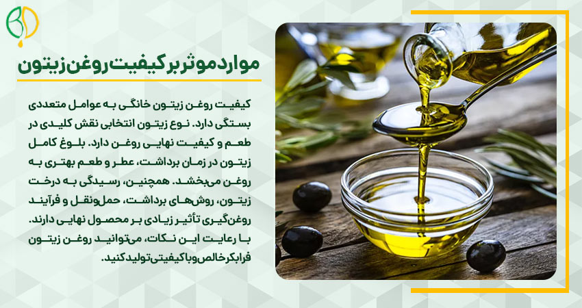 روغن گیری زیتون در خانه 3 موارد تاثیر گذار بر روی کیفیت روغن زیتون خانگی
