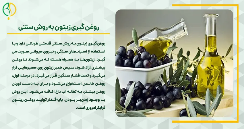 روغن گیری زیتون در خانه 4 روغن گیری زیتون به روش سنتی