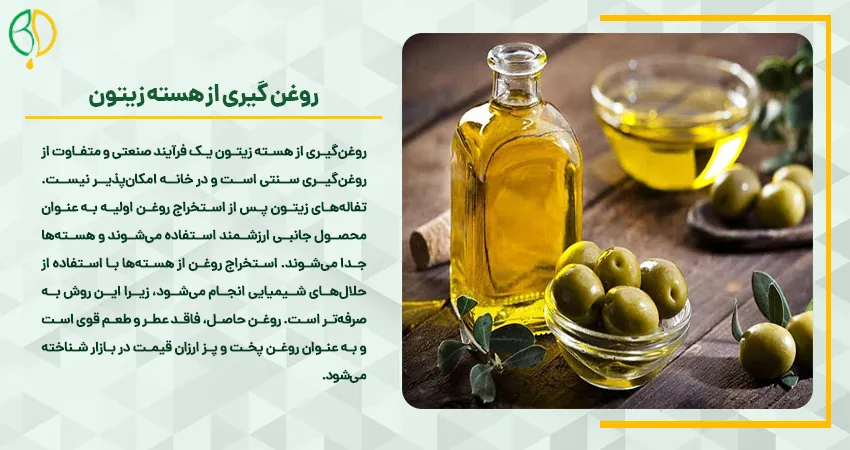 روغن گیری زیتون در خانه 5 روغن گیری از هسته زیتون