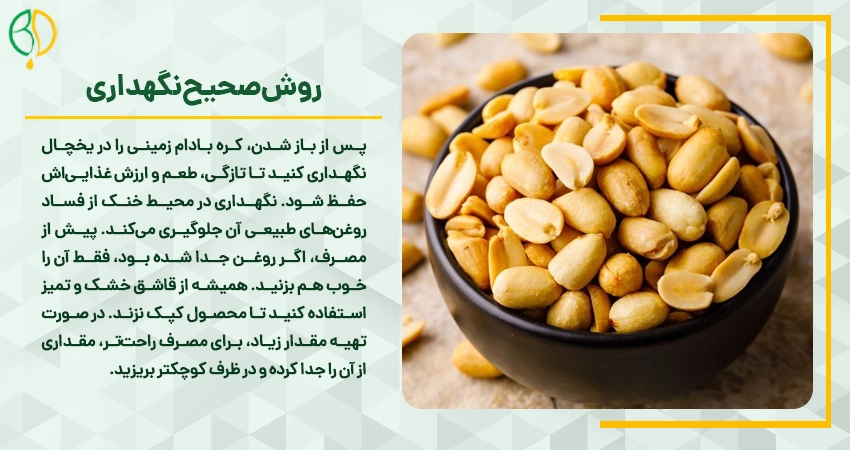 خواص کره بادام زمینی برای مردان 2 peanut butter benefits men health 04