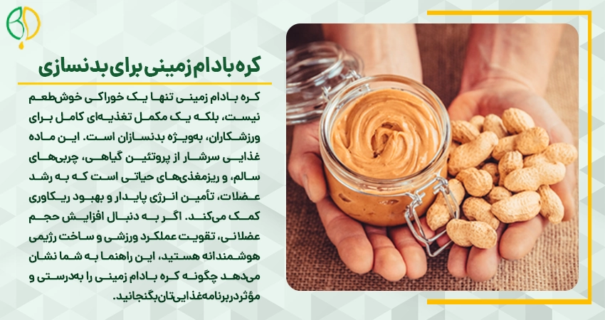 کره بادام زمینی برای بدنسازی: راهنمای جامع برای حداکثر رشد عضلانی و انرژی 2 چرا کره بادام زمینی یک انتخاب ایدهآل برای بدنسازان است؟