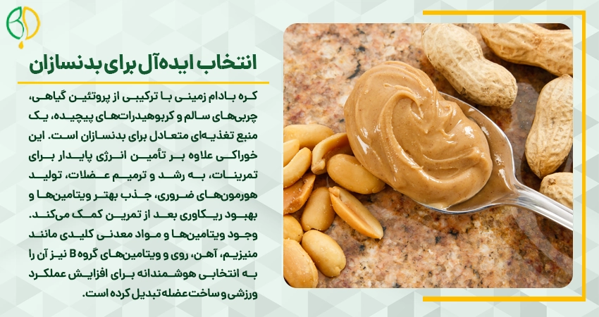 کره بادام زمینی برای بدنسازی: راهنمای جامع برای حداکثر رشد عضلانی و انرژی 3 انتخاب ایده ال برای بدنسازان
