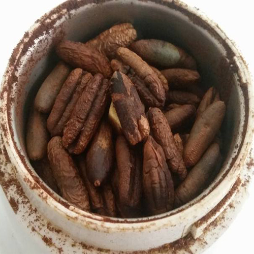 قیمت دستگاه روغن گیری هسته خرما 2 قیمت دستگاه روغن گیری هسته خرما