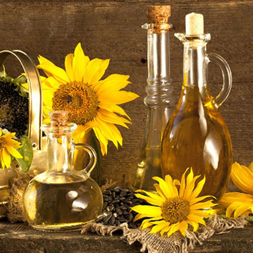 روغن گیری آفتابگردان 2 قیمت دستگاه روغن گیری آفتابگردان