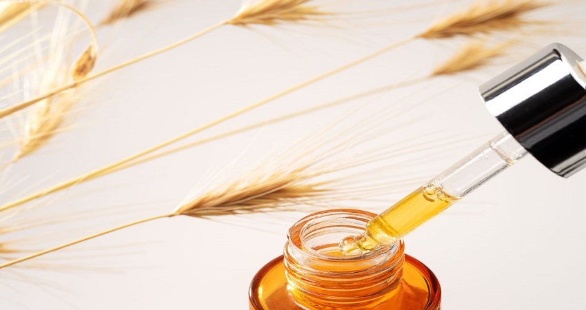 دستگاه روغن گیری جوانه گندم 4 مصرف روغن جوانه گندم کجاست
