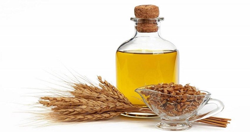 دستگاه روغن گیری جوانه گندم 3 مصرف روغن جوانه گندم کجاست